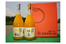 ZY6113n_果樹園紀の国  有田みかんの味皇、和α のみ比べセット 各７２０ｍｌ