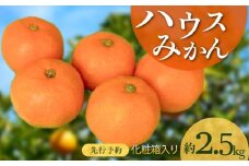 BF6032n_【2025年先行予約】 ハウスみかん 化粧箱 約2.5kg 【ミカン 蜜柑 柑橘 温州みかん 有田みかん 贈答 ギフト 和歌山】