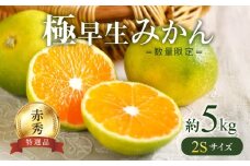 BF6035n_【2025年先行予約】【数量限定】 極早生みかん 5kg 赤秀 2Sサイズ【ミカン 蜜柑 柑橘 温州みかん 有田みかん 贈答 ギフト わせみかん 小粒 小玉 和歌山】