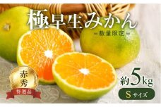 BF6036n_【2025年先行予約】【数量限定】 極早生みかん 5kg 赤秀 Sサイズ【ミカン 蜜柑 柑橘 温州みかん 有田みかん 贈答 ギフト わせみかん 和歌山】