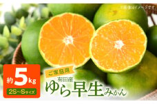 AT6217n_【2025年先行予約】 有田みかん 約5kg ご家庭用 和歌山 ゆら早生 極早生 (SS、Sサイズ)【湯浅町】