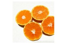 AT6218n_【ご家庭用 極早生】有田ゆら早生みかん 約5kg (S、M、Lサイズ)【湯浅町】