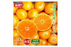 AT6311_【ご家庭用】有田みかん 約10kg (SS、S、Mサイズ)【湯浅町】