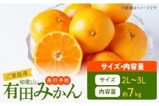 AT6315_【2025年先行予約】ご家庭用　有田みかん 約7kg (2L、3Lサイズ)【湯浅町】