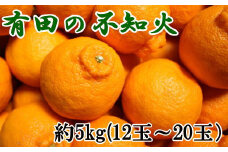 ZD6117n_【2026年先行予約】【濃厚】有田の 不知火 約5kg（12玉～20玉おまかせ）【でこぽん デコポン しらぬい 不知火 柑橘】