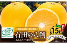 ZE6372n_和歌山県産 有田の 八朔 (はっさく) 【訳あり 家庭用】 15kg (S～4Lサイズ混合)【まごころ手選別】