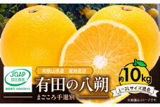 ZE6153n_【2026年先行予約】有田の八朔 (はっさく) 10kg (L～2Lサイズ混合)　まごころ手選別