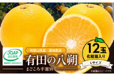 ZE6079n_【2026年先行予約】有田の八朔 (はっさく) 【化粧箱 】（Lサイズ）　12個入り　まごころ手選別