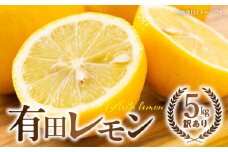 ZW6114n_国産有田レモン約5kg【訳あり 家庭用】【国産 レモン 柑橘 フルーツ 和歌山】