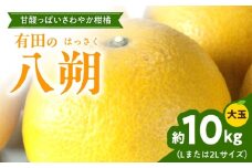 ZD6307n_【2026年先行予約】【手選果】有田産の 八朔 10kg 大玉 (Lまたは2Lサイズ いずれかお届け)