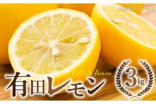 ZW6115n_国産有田レモン3kg【国産 レモン 柑橘 フルーツ 和歌山】