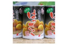 ZD6397_和歌山産 手剥き 八朔 缶詰 450g × 8缶入り【フルーツ缶 フルーツ缶詰 はっさく ハッサク 八朔 さつき 和歌山産】