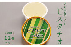 V6241_プレミアムジェラート／ピスタチオ 12個セット／ジェラート シャーベット アイスクリーム 100ml ／ゆあさジェラートラボラトリー 紀伊国屋文左衛門本舗 SenZanAn Premium Ice Cream