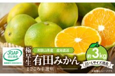 ZE6032n_和歌山県産 有田みかん (極早生) 3kg (2S～Lサイズ混合)【まごころ手選別】