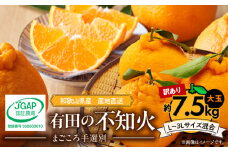 ZE6107n_【2026年先行予約】有田の不知火(しらぬひ) 【訳あり　家庭用】7.5kg 大玉 （L～3Lサイズ混合）まごころ手選別