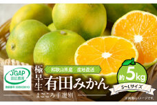 ZE6036n_和歌山県産 有田みかん (極早生) 5kg (S～Lサイズ)【サイズおまかせ】【まごころ手選別】