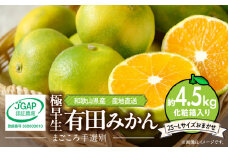 ZE6040n_和歌山県産 有田みかん (極早生) 化粧箱 4.5kg (2S～Lサイズ)【サイズおまかせ】【まごころ手選別】