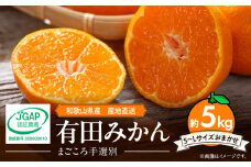 ZE6043n_【2025年先行予約】和歌山県産 有田みかん 5kg (S～Lサイズ)【サイズおまかせ】【まごころ手選別】