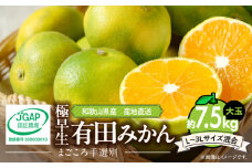 ZE6038n_和歌山県産 有田みかん(極早生) 大玉 7.5kg (L～3Lサイズ混合)【まごころ手選別】