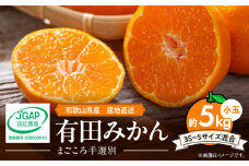 ZE6044n_【2025年先行予約】和歌山県産 有田みかん 5kg 小玉(3S～Sサイズ混合)【まごころ手選別】