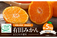 ZE6049n_和歌山県産 有田みかん 5kg Mサイズ【まごころ手選別】