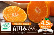 ZE6057n_【2025年先行予約】有田みかん 化粧箱 約4.5kg 2Sサイズ【まごころ手選別】