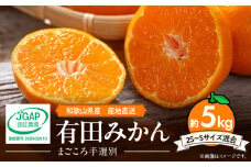 ZE6053n_【2025年先行予約】和歌山県産 有田みかん 5kg 2S～Sサイズ混合【まごころ手選別】