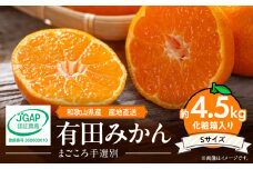 ZE6058n_【2025年先行予約】有田みかん 化粧箱 約4.5kg Sサイズ【まごころ手選別】