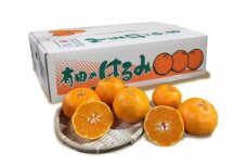 ZE6086n_有田のはるみ 約4kg～5kg 12玉～24玉【まごころ手選別】