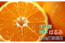 ZE6089n_和歌山県産 有田の はるみ 【訳あり 家庭用】 7.5kg (S～3Lサイズ混合) 【まごころ手選別】
