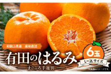 ZE6093n_和歌山県産 有田の はるみ 6玉 (L～2Lサイズ)【まごころ手選別】