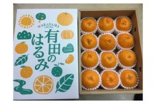 ZE6097_和歌山県産 有田の はるみ 化粧箱入り 24玉 (12玉×2箱) (L～2Lサイズ)【まごころ手選別】