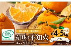 ZE6101n_【2026年先行予約】有田の不知火(しらぬひ）約4kg～5kg　小玉28玉（Sサイズ）まごころ手選別
