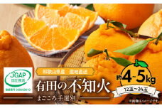 ZE6098n_【2026年先行予約】有田の不知火(しらぬひ) 約4kg～5kg　大玉12～24玉（M～４Lサイズ）まごころ手選別