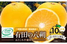 ZE6154n_【2026年先行予約】有田の八朔 (はっさく) 10kg  (2S～Mサイズ混合）まごころ手選別