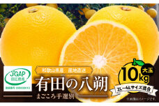 ZE6155n_【2026年先行予約】有田の八朔 (はっさく) 10kg  (2L～4Lサイズ混合)　まごころ手選別