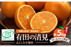 ZE6158n_【2026年先行予約】和歌山県産 有田の 清見（訳あり 家庭用）5kg (2S～2Lサイズ混合)（まごころ手選別）