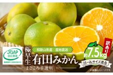 ZE6170n_和歌山産 有田みかん(極早生) 7.5kg【家庭用】
