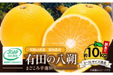 ZE6168n_有田のはっさく 10kg【家庭用】【まごろろ手選別】