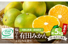 ZE6171n_和歌山県産 有田みかん (極早生) 【訳あり 家庭用】 5kg (2S～2Lサイズ混合)【まごころ手選別】