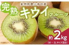 ZD6233n_【2026年先行予約】有田でとれた 完熟 キウイフルーツ 2kg (M～3Lサイズ混合)
