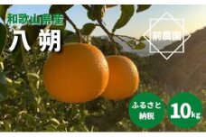 BL6010n_【2026年先行予約】【産地直送】和歌山県産 八朔 10kg (M～3Lサイズ)