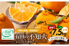 ZE6108n_【2026年先行予約】有田の不知火(しらぬひ) 【訳あり　家庭用】7.5kg 小玉（ S～Lサイズ混合）まごころ手選別