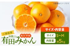 AT6321_【2025年先行予約】ご家庭用　有田みかん 約5kg (S、Mサイズ)【湯浅町】