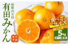 AT6304_【2025年先行予約】ご家庭用　有田みかん 約5kg (M、Lサイズ)【湯浅町】