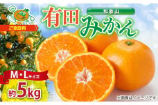 ZJ6083_【2025年先行予約】ご家庭用　和歌山 有田みかん 約5kg (M、Lサイズ)【湯浅町】