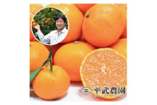 AX6102_【平武農園より農家直送！】 有田みかん 10kg 3Sサイズ《秀品（超小玉）》 蛍飛ぶ町から旬の便り