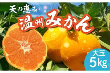 H6004n_【2025年先行予約】 天の恵み 温州みかん 大玉5kg【ミカン 蜜柑 柑橘 温州みかん 和歌山】