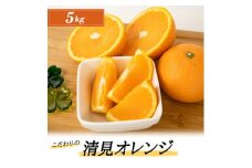 ZT6207n_こだわりの 清見 オレンジ 5kg 藤秀園