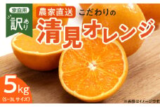 ZT6230n_【2026年先行予約】こだわりの 清見 オレンジ 【訳あり 家庭用】 5kg 藤秀園